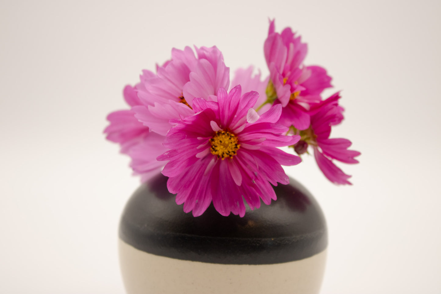 Dual-Toned Round Vase